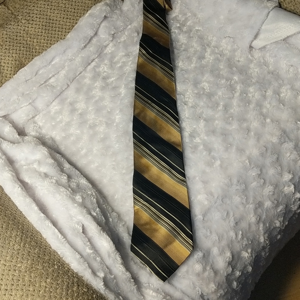 Siena Collezione Hand Made Silk tie
